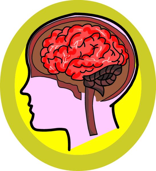 Brain image