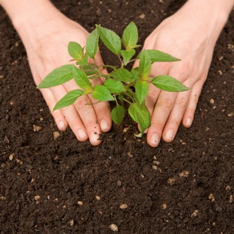 Gardening