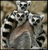 naturepalooza