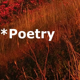 *poetry