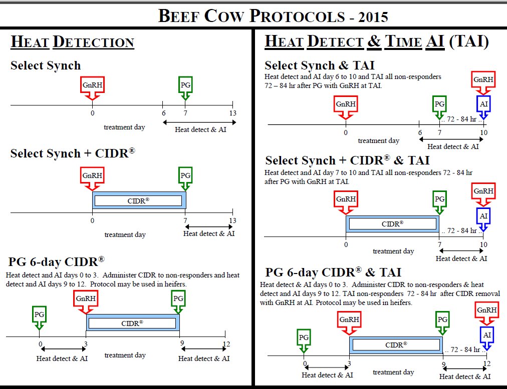 Suggested estrus synchronization protocols are updated annually and available at http://beefrepro.unl.edu