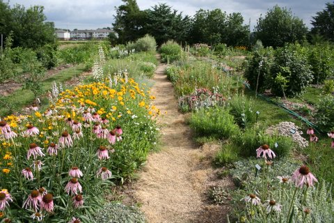 Nebraska Statewide Arboretum Display Gardens, UNL East Campus