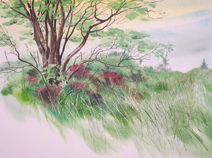 "Summer Grasses," a watercolor painting by Richard Schilling. Courtesy image.