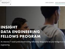 Insight Fellows Programs