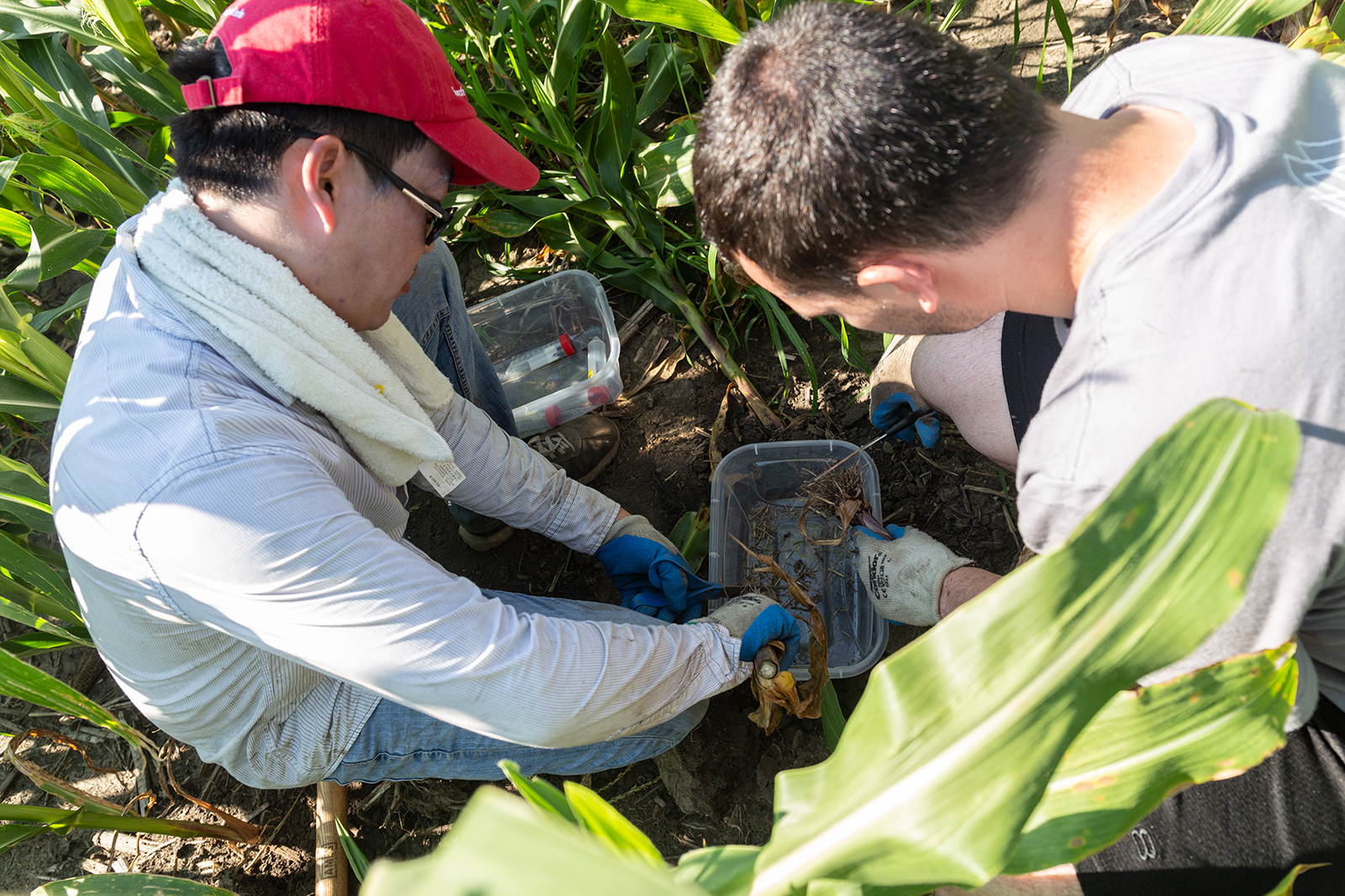 The Office of Graduate Studies is seeking to expand the Nebraska Summer Research Program by partnering with new faculty and departments to offer more NSF-funded Research Experience for Undergraduates (REU) and other summer research program sites. 