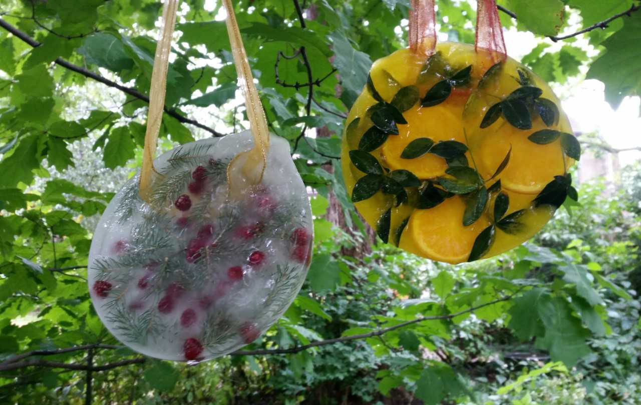 This winter-themed ice suncatcher (left) has raspberries and spruce branches. This fall-themed ice suncatcher (right) has orange slices, vinca stems and yellow food coloring. (Photo by Mary Jane Frogge, Nebraska Extension in Lancaster County)