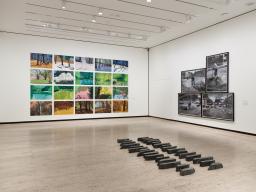 The exhibition "Approaching Landscape" is on view at Sheldon through December 31.