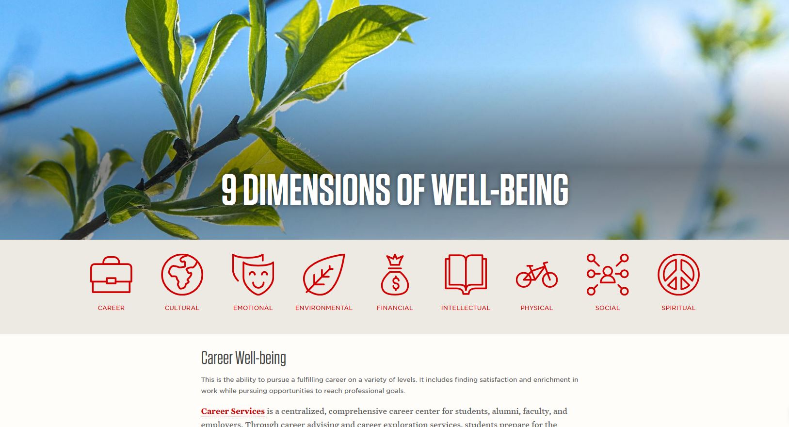 9 Dimensions of Well-Being