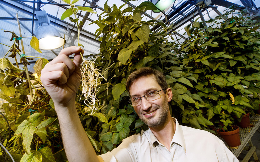 Nebraska plant scientist Marc Libault seeks to better understand soybeans and other legumes’ mutually beneficial relationship with the bacteria rhizobia. Craig Chandler | University Communication