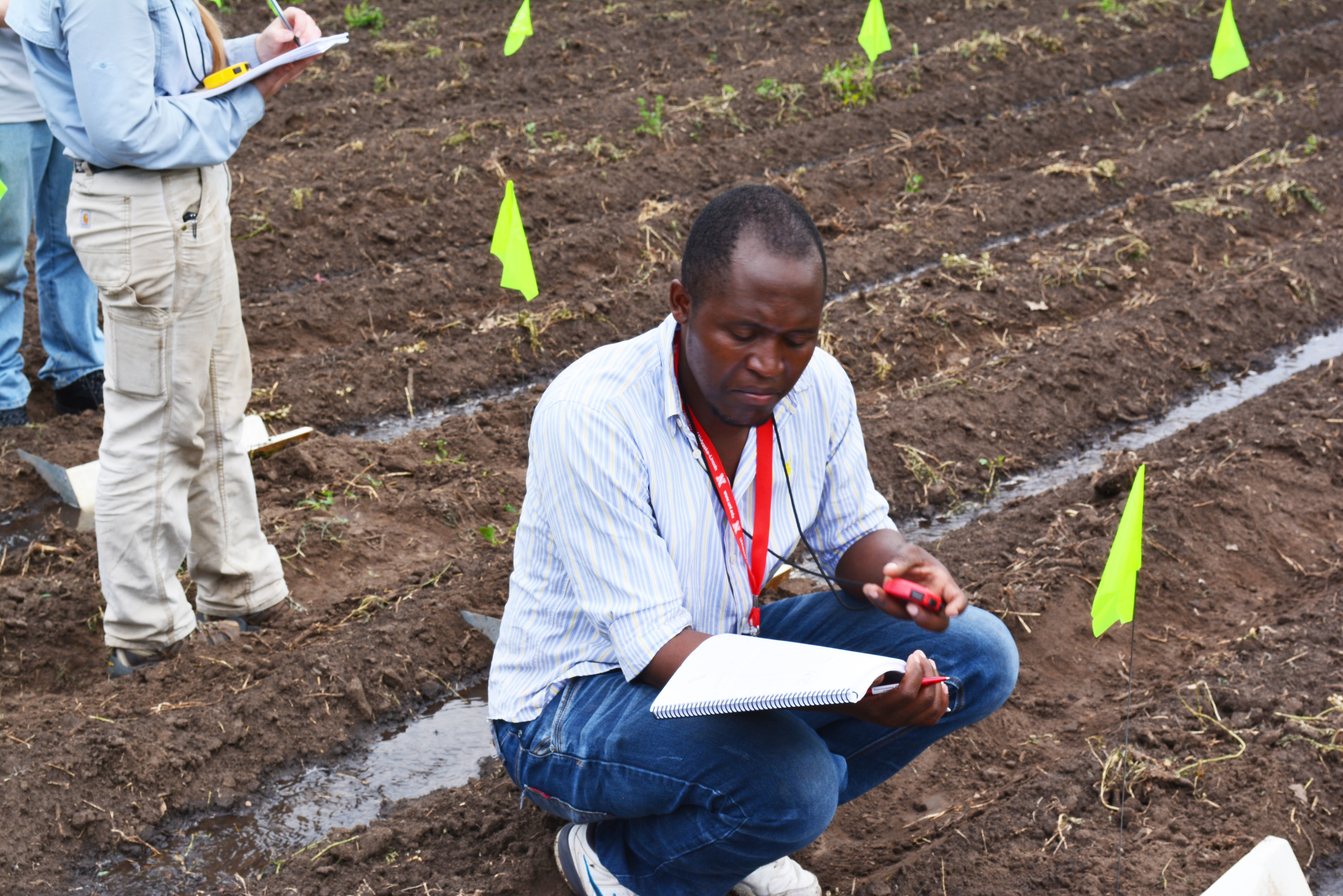 UNL graduate student Mavuto Banda from Malawi conducts a field experiment on irrigation water flow.