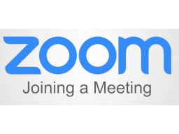Zoom logo graphic 