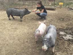 Pick-A-Pig club member at Harry Muhlbach's farm, where the pigs for the club are kept.