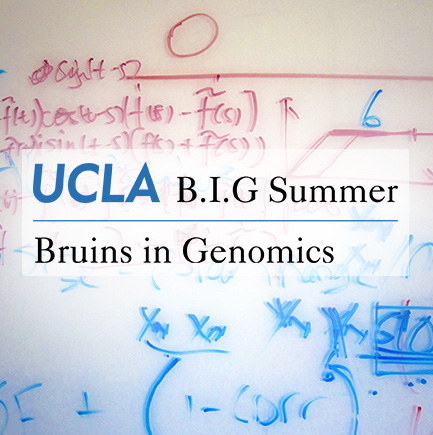 UCLA B.I.G Summer
