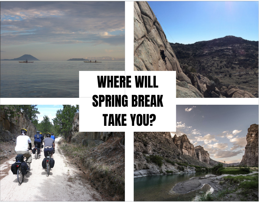 Where will Spring Break take you?