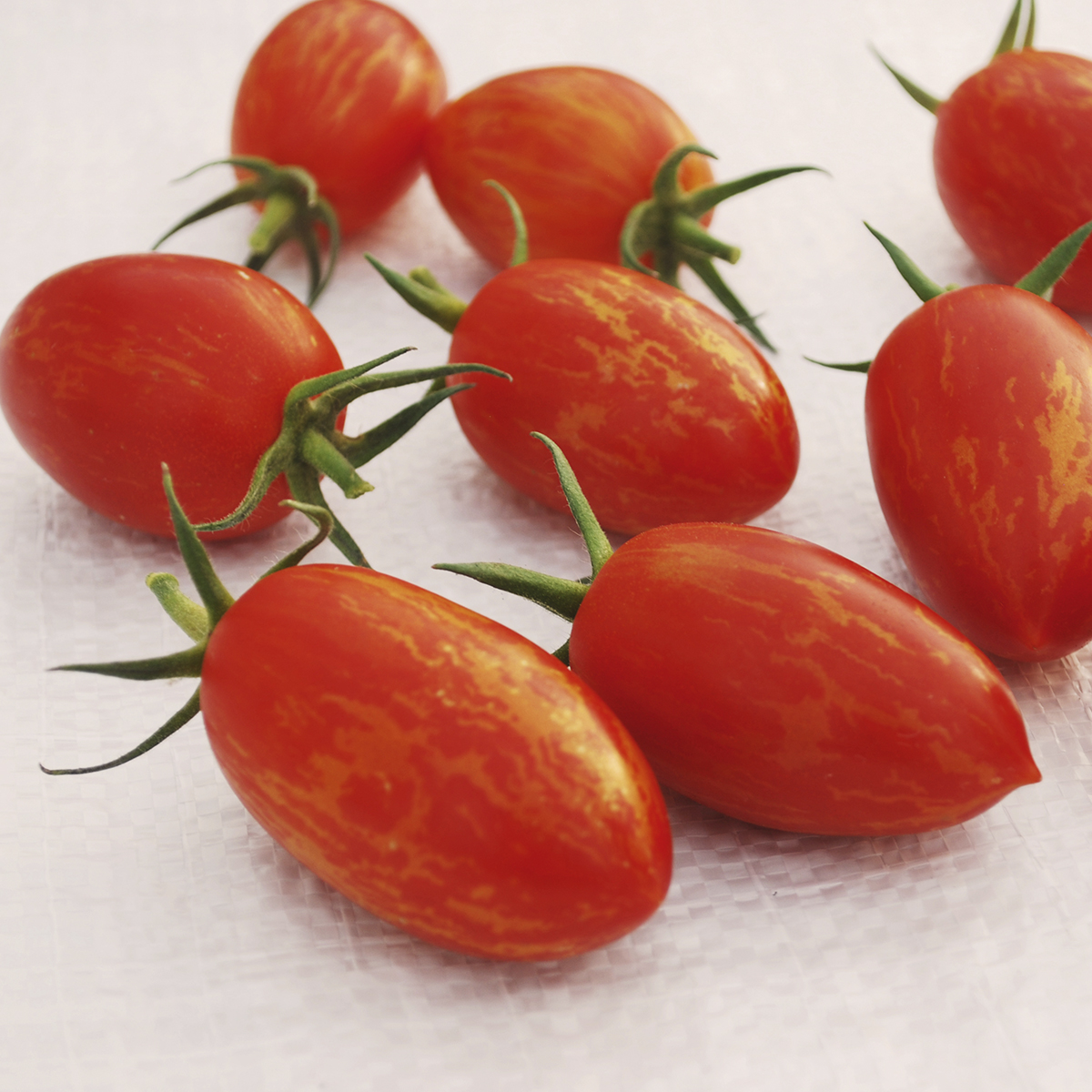 Tomato ‘Red Torch’ (Photo courtesy All-America Selections)