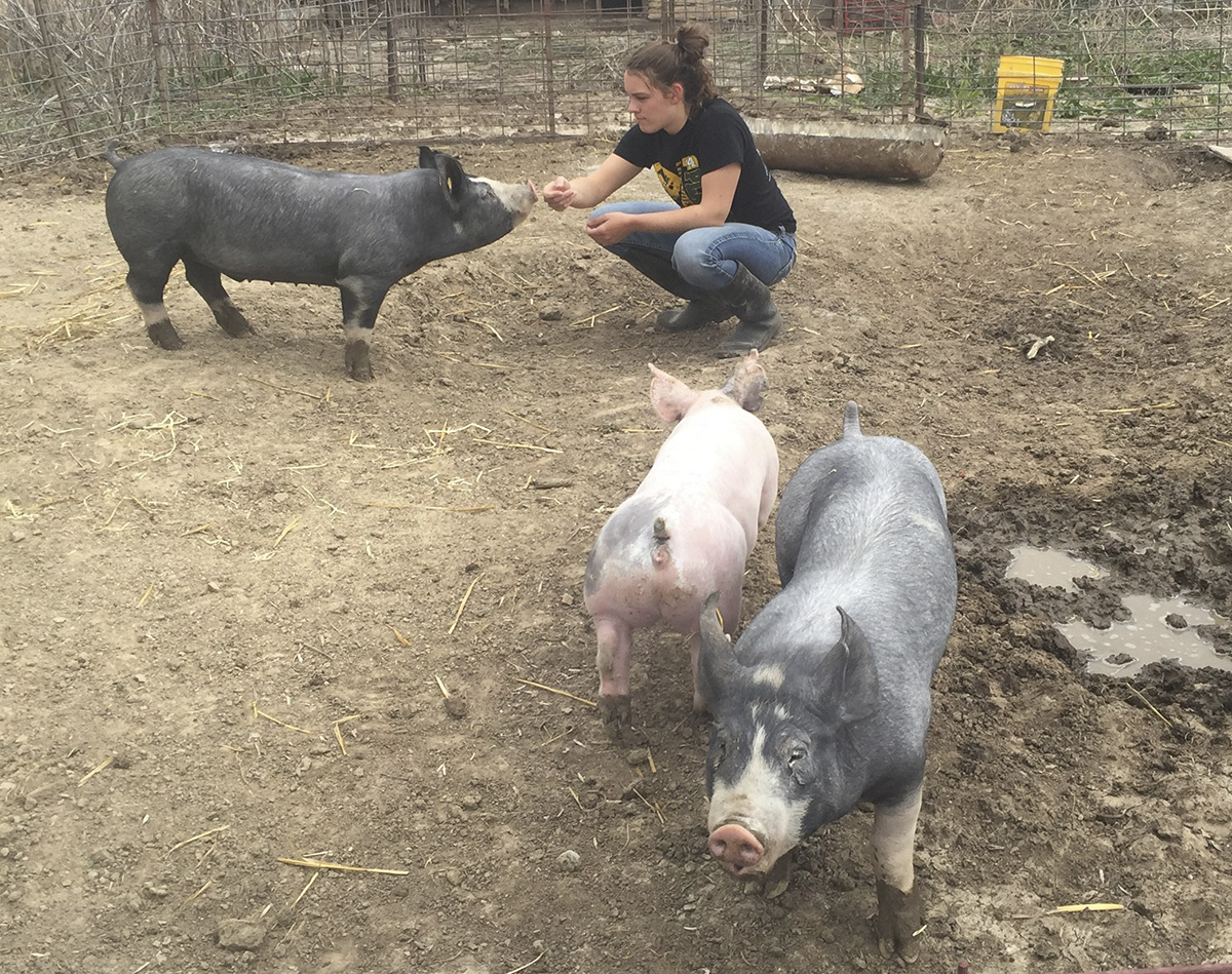 Pick-A-Pig club member at Harry Muhlbach's farm, where the pigs for the club are kept.