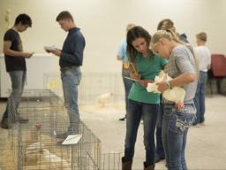 Poultry Judging PASE 2018.jpg
