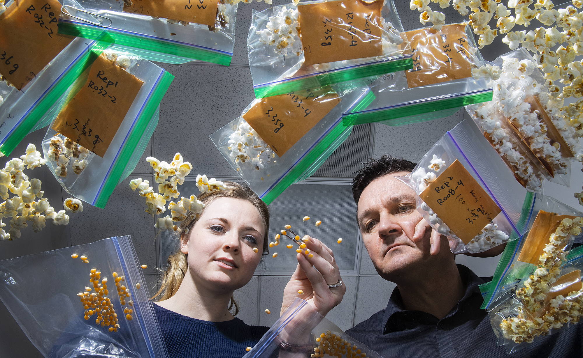 Nebraska's David Holding (right) and Leandra Marshall (left) are developing lines of popcorn featuring higher levels of lysine, an amino acid essential to the diets of humans and some livestock.  Craig Chandler | University Communication 