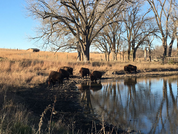 Pioneers Park nature hike