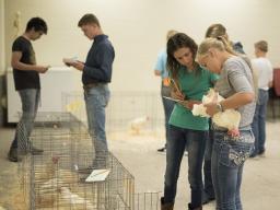 Poultry Judging PASE 2018.jpg