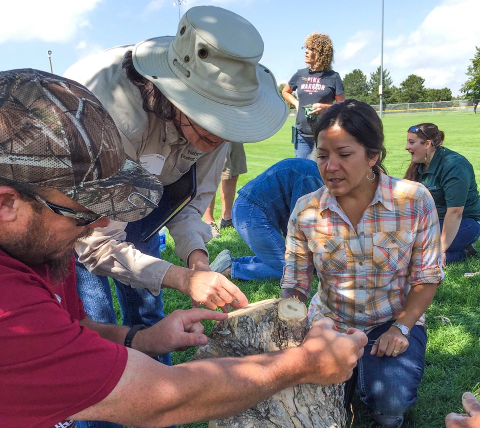 Tree care workshops are planned March 28 and 29 in Lincoln and Omaha, respectively.