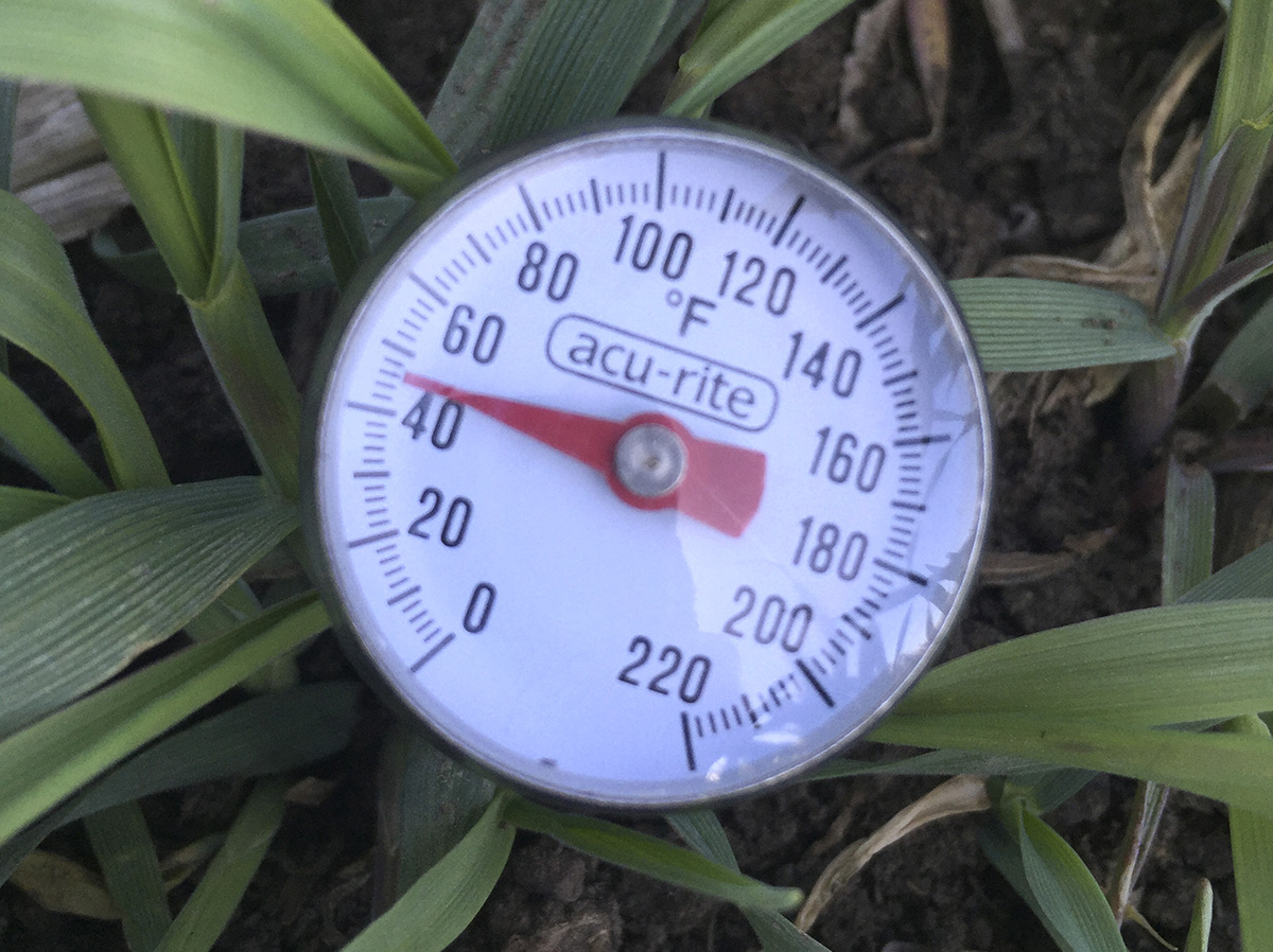  Soil temperature can be measured using an inexpensive thermometer. (Photo by Tyler Williams, Nebraska Extension in Lancaster County)