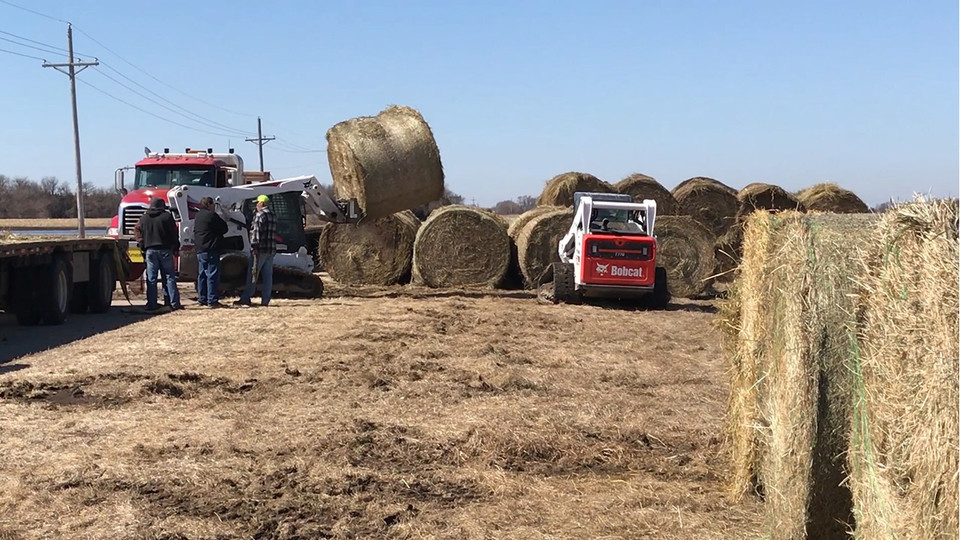 Donated hay bales accumulate at the Eastern Nebraska Research and Extension Center near Mead.