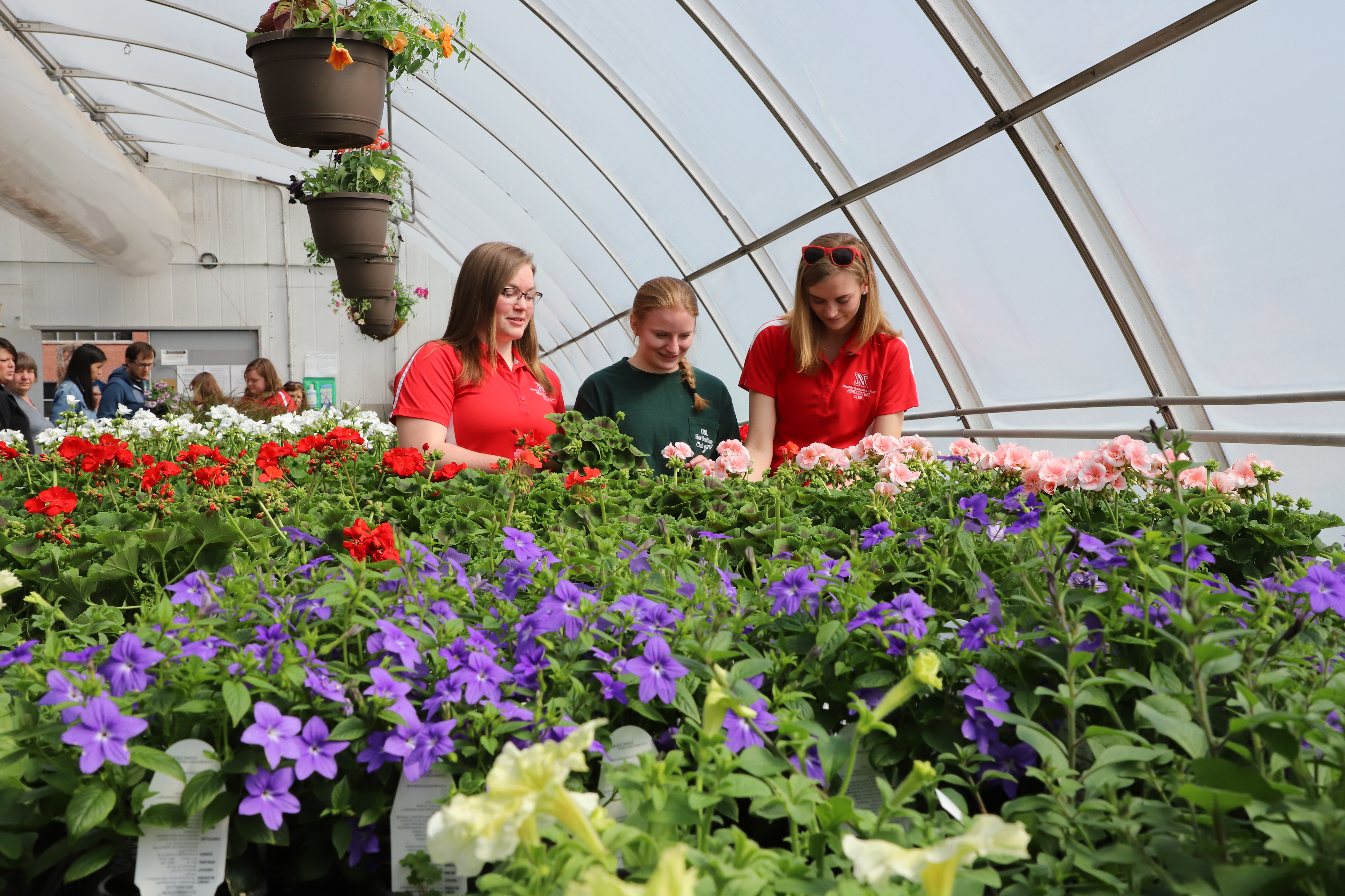 Plants are grown and cared for by Horticulture Club members in the greenhouses during the spring semester on the University of Nebraska–Lincoln East Campus.  Lana Johnson  |  Agronomy and Horticulture