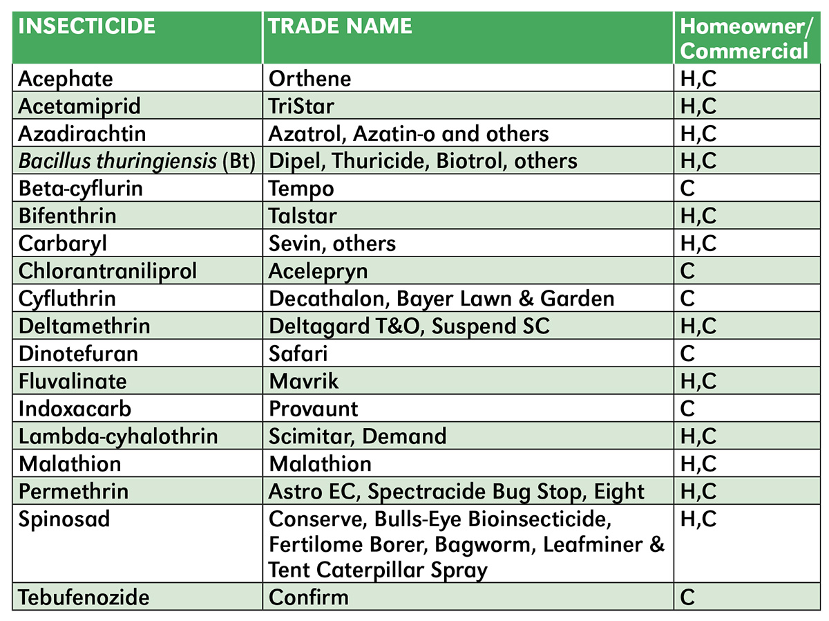 Insecticide options for bagworm control.