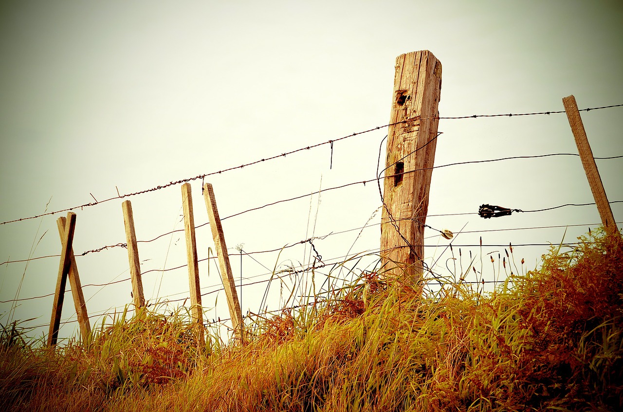 barbed wire fence