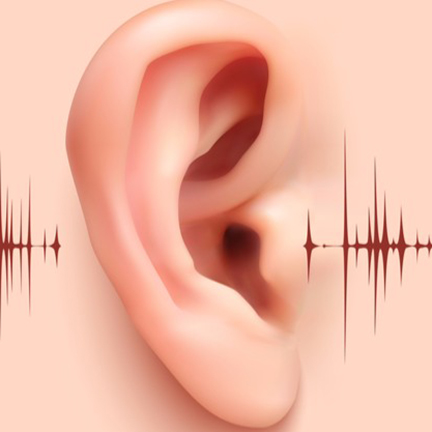 UNL hearing study