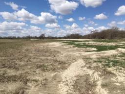 Spring flooding left deposits of sand and silt on many acres of river-frontage property, such as this pasture near Ravenna. 