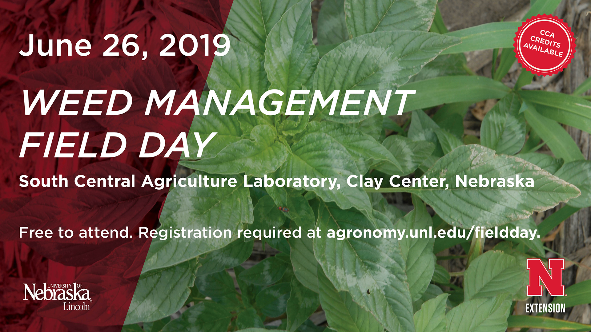 Weed Management Field Day June 26, 2019