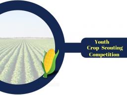 Crop Scout Design (1).jpg