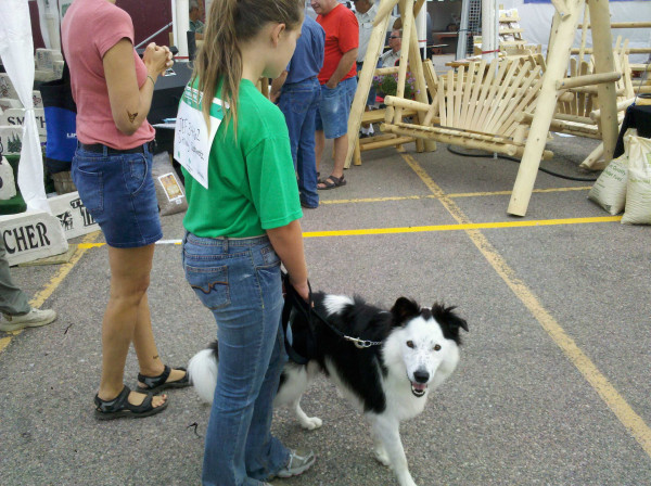 A contestant prepares for the 4-H Dog Show at the Nebraska State Fair.