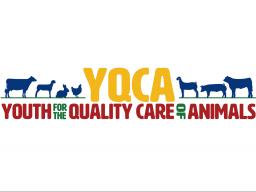 YQCA logo for e-newsletter.jpg
