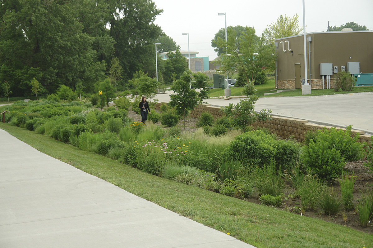 Fireworks restaurant bioswale in Lincoln captures stormwater from adjacent parking lots and buildings absorbing excess runoff, filtering pollutants and creating habitat for birds and insects. (Photo courtesy of Nebraska Statewide Arboretum, plantnebraska)