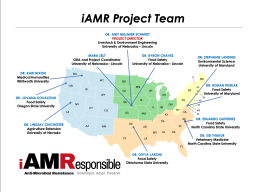 iAMR Project Team