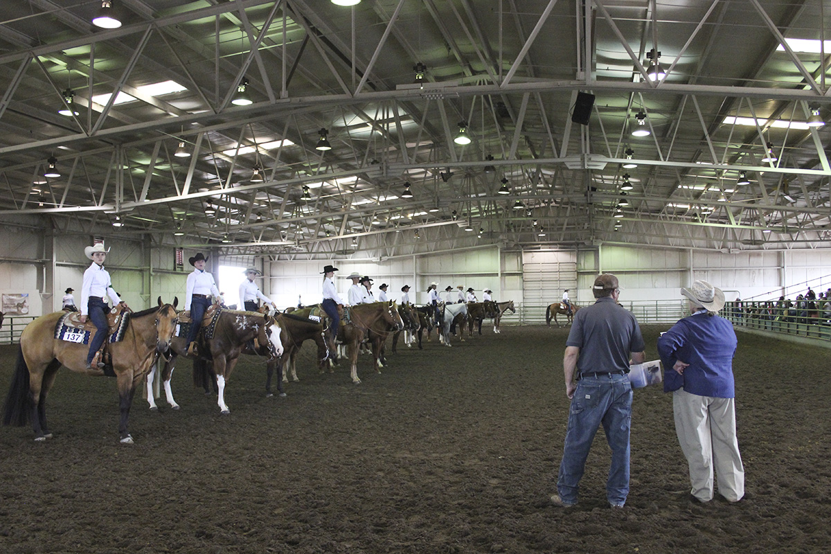 State 4H Horse Show Announce University of NebraskaLincoln