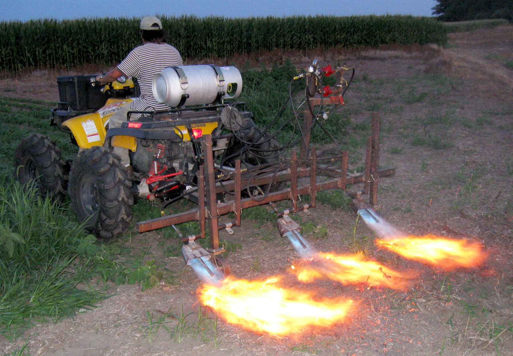 A three-row flamer mounted on an ATV is tested in the field. Tests were conducted in the evening to better observe flame shape as the flame hits the ground. (Photos by IANR Staff)