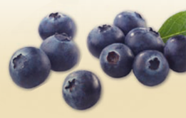 home_blueberries.png