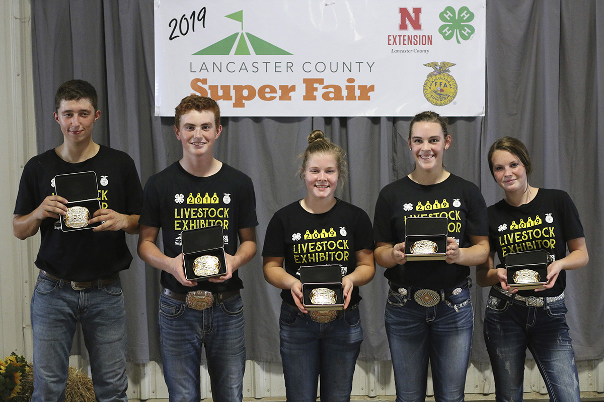 4-H/FFA Elite Showmanship Contest participants