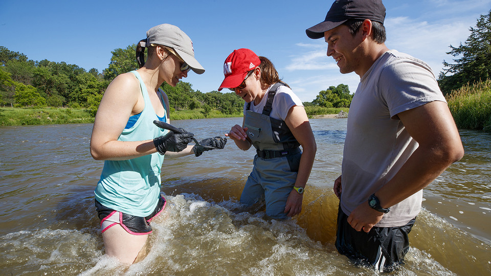  From left to right, Kayla Vondracek, Jessica Corman and Matthew Chen take a look at an algae sample while standing in the Niobrara River. | Craig Chandler, University Communication