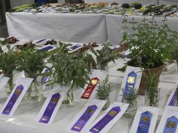 Horticulture projects at fair.jpg
