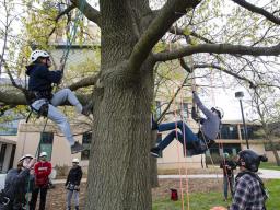 Students practice climbing trees during class in spring 2019. | Craig Chandler, University Communications