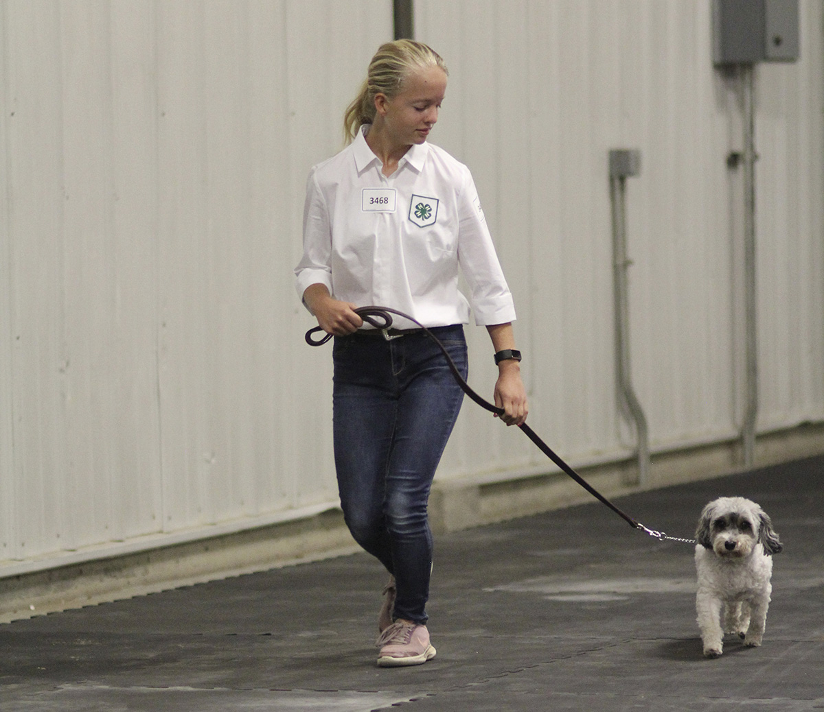 A member of the 4 On The Floor dog 4-H club for youth ages 9-18.