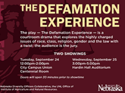 The Defamation Experience 