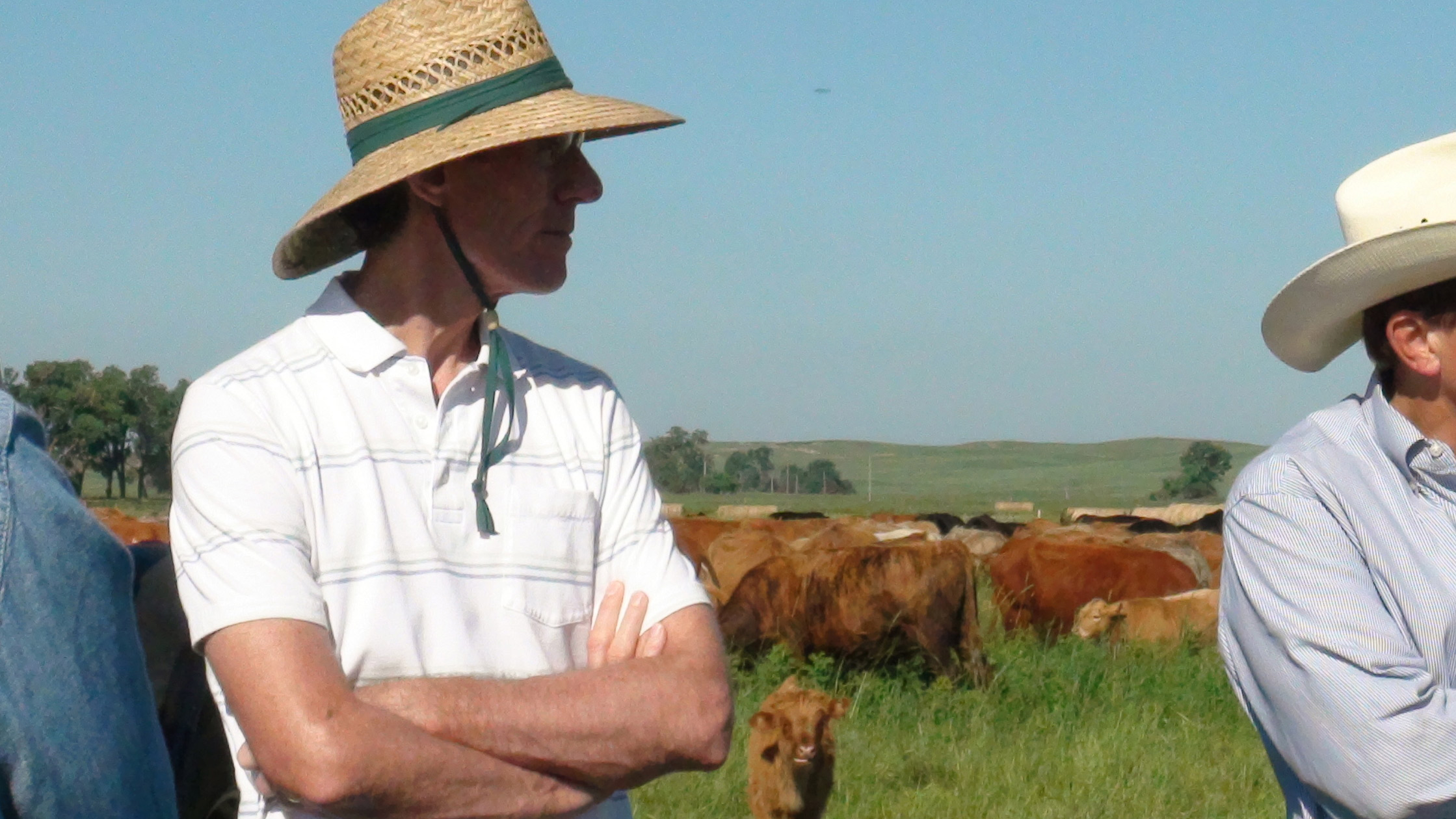 Bruce Anderson, University of Nebraska–Lincoln professor of agronomy and horticulture and extension forage specialist, was honored for 40 years of service to the university.