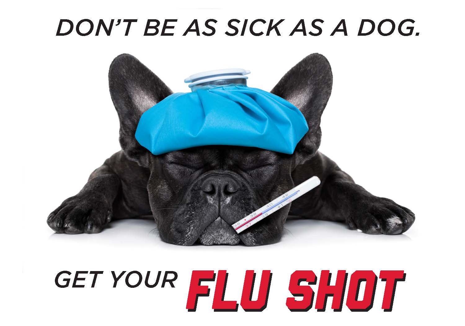Free flu shots are now available at the Health Center Announce