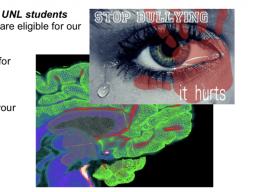 UNL Students Needed for Brain Research on Bullying Involvement